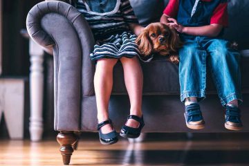 Matrimonio: ¿hijos o mejor perros?
