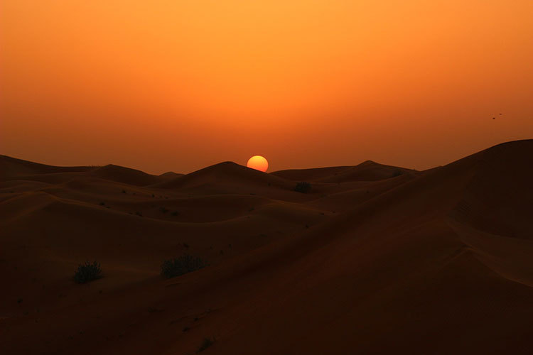 Atardecer en el desierto