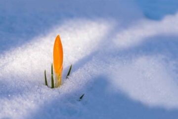 Deshielo invernal