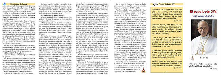 El papa León XIV, 267 sucesor de Pedro