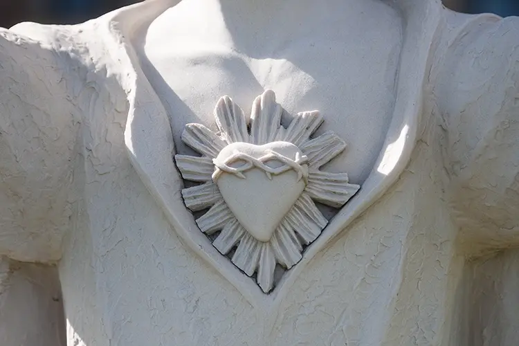 Detalle del corazón