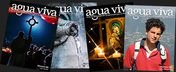 Portadas de Agua Viva
