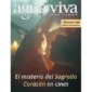 Revista nº 205