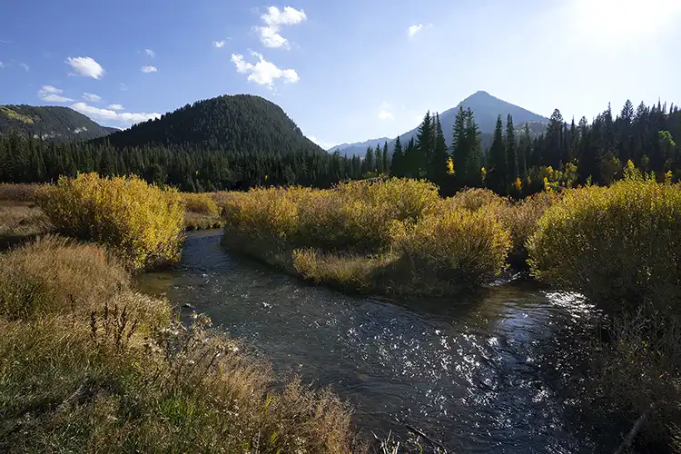 Río